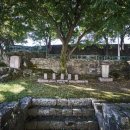 제주에 산다 이미지