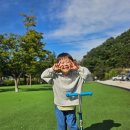 (장기_온라인)원어민영어_Level2 | 5세영어노출 5세영어추천 도요새잉글리시 5주차 후기
