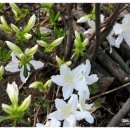 은빛농장 이미지