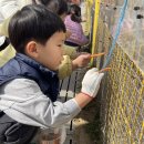 평택시 농업생태원2 | 4세 아이랑 평택시 농업생태원 후기 (토끼 먹이주기 · 모래놀이터 · 대형 미끄럼틀)