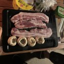 환타파인민박 | 차박여행.차박캠핑 후기