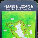 서울대공원 산림욕장길 산책 이미지