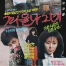 [1986년 영화 '겨울 나그네' 속 올드팝] Sympathy(연민) - Rare Bird(레어 버드) 이미지