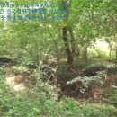 전곡읍-13 이미지