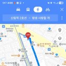 평생 사랑할 개 이미지