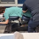 시원지압안마원 이미지