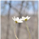 당신 멋져요^^ 이미지