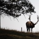 광주병원 이미지