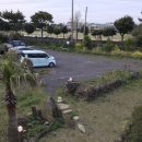 클로버비앤비 이미지