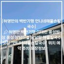언니네손칼국수