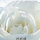 수요일 - 종로구 인사동길 36 | 수요일