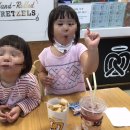 앤티앤스프레즐속초