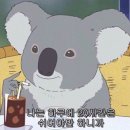 왕새우나라