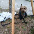 낙동남로 이미지