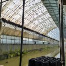 백용낚시터 이미지