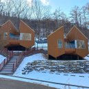 트리하우스 이미지