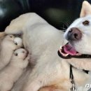 마곡농장 이미지