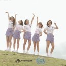 (주)에이스홀딩스