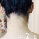 고운:결 이미지