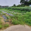 노동상리 이미지