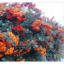 석골농장 이미지