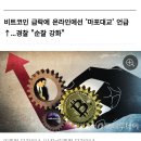 비트코인 폭락한 날, 경찰은 1시간마다 '마포대교'로 달려갔다 이미지