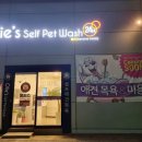 올리스 아시아드점 이미지