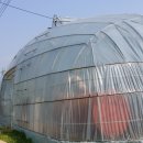 선은농장(1) 이미지