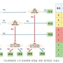 방문요양 어르신을 위한 기능회복훈련 이미지