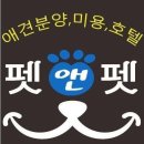 애견미용실 이미지