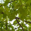 소공인특화지원센터 공동장비실 | 자영업 소상공인 특화 지원센타 설치 운영 공동 기반시설 구축 운영