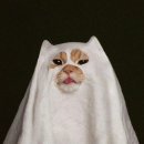 (주)지금 이미지