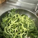 경주 맛집 | 박용자경주명동쫄면 본점 현지 맛집