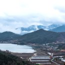 보성운해녹차 이미지