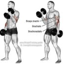 두잇핏PT 이미지