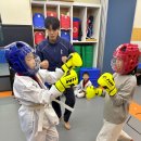 효자 태권도장 이미지