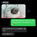 달봉냥의 꿈 이미지