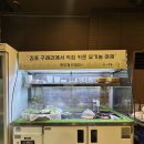 서구-01-51 | 완정역 맛집, 인천 당하동 고기집 더두툼! 오겹살, 양갈비, 갈비살