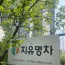 지유명차 동명점 이미지