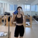 한선화유산균 듀얼플랜유산균비추? 직접 먹어본 후기