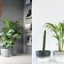 (주)케어풀 이미지