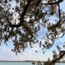 자금성건강랜드 이미지