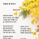 따뜻한 말 한 마디 이미지