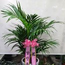 현대자동차신평점 이미지