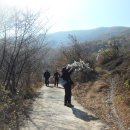 용태농장 Daum카페