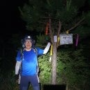 977)2장군봉 978)금만봉 979)신선봉 980)백암산 (잔북완주군~충남금산군) 금남정맥07(피암목재~백령고개)