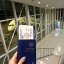 132 | 에어프레미아 뉴욕 (YP131, YP132) 미주 항공 탑승 후기 +기내식