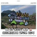 에이치해운 울릉썬플라워크루즈 1등석 후기 | 아기랑 카라반 울릉도 여행
