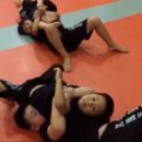 키즈트레이닝(태권도) 이미지