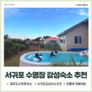 무릉이가 | 제주도 서귀포 감성숙소 무릉이가 가족여행에 딱인 수영장펜션